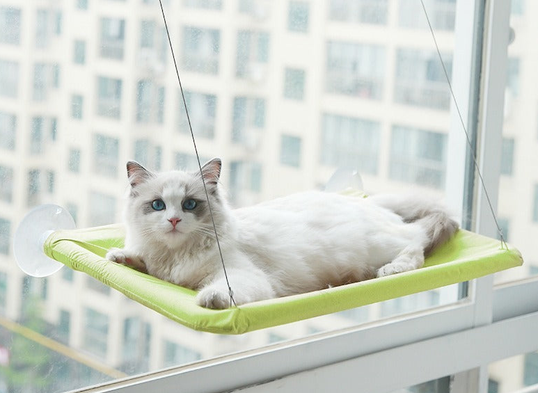 Cat Hanging Bed Avocado Green