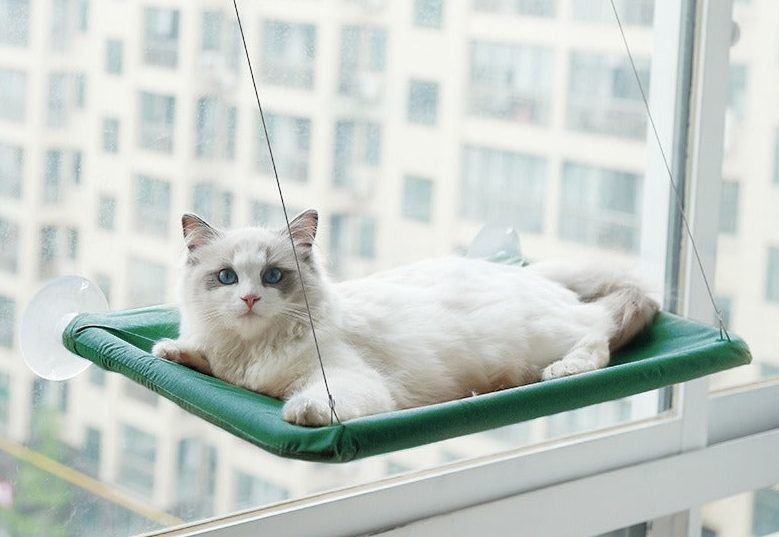 Cat Hanging Bed Florence