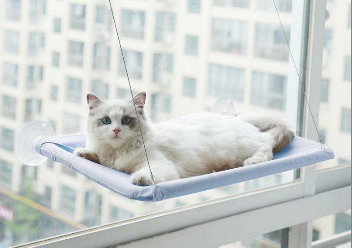 Cat Hanging Bed Blue