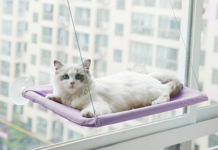 Cat Hanging Bed  Purple