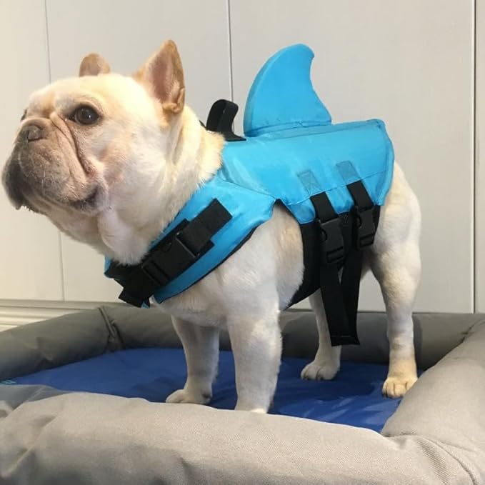 Trendy Pet Shark Fin Swimsuit Professional Life Jacket