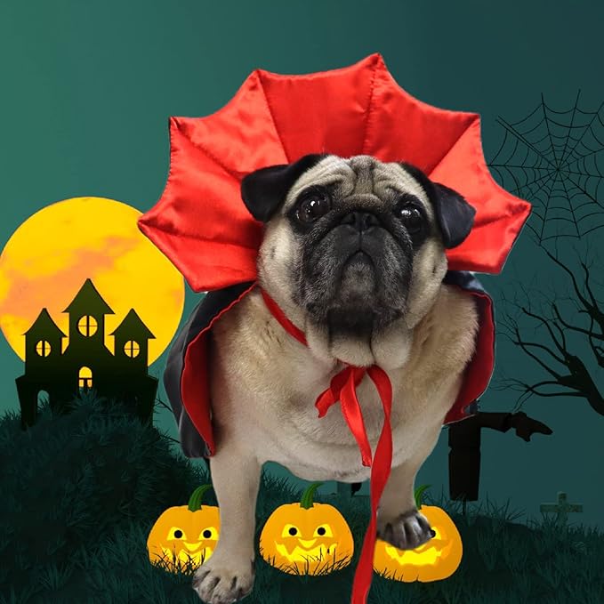 Halloween Costume Witch Vampire Cat and Dog Cloak