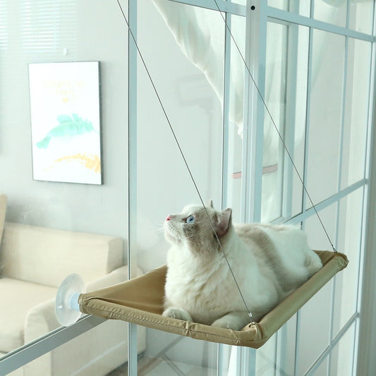 Cat Hanging bed in use