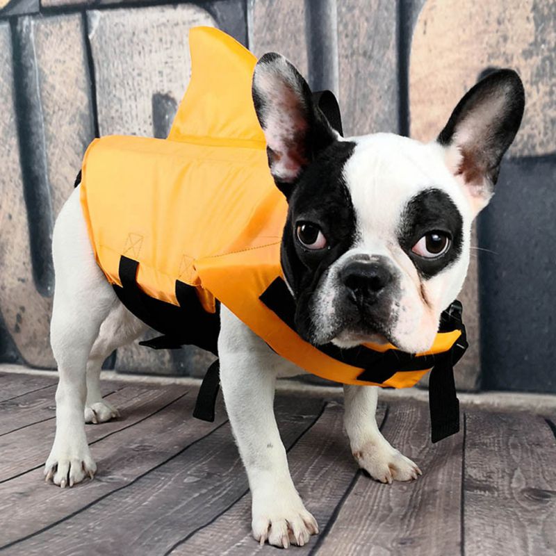 Trendy Pet Shark Fin Swimsuit Professional Life Jacket