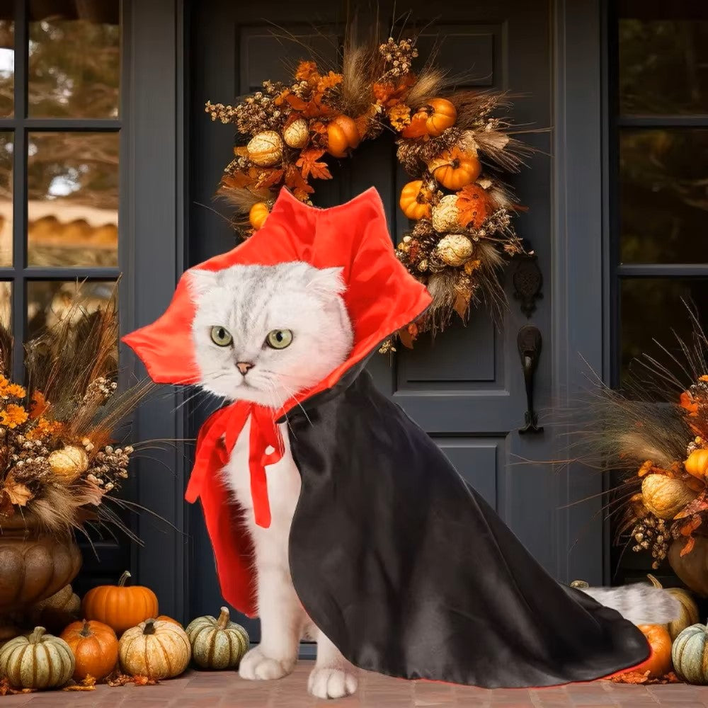 Halloween Costume Witch Vampire Cat and Dog Cloak