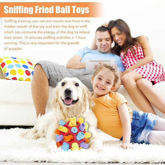 Pet Sniffing Ball