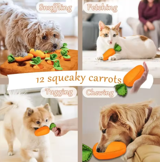 Carrot Toy Wide Uses