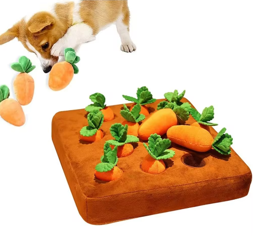 Carrot Toy