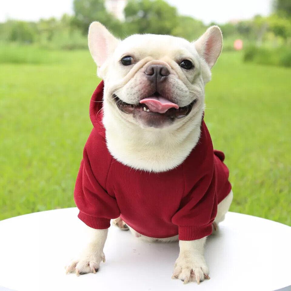 Pet Hoodie Warm Clothes